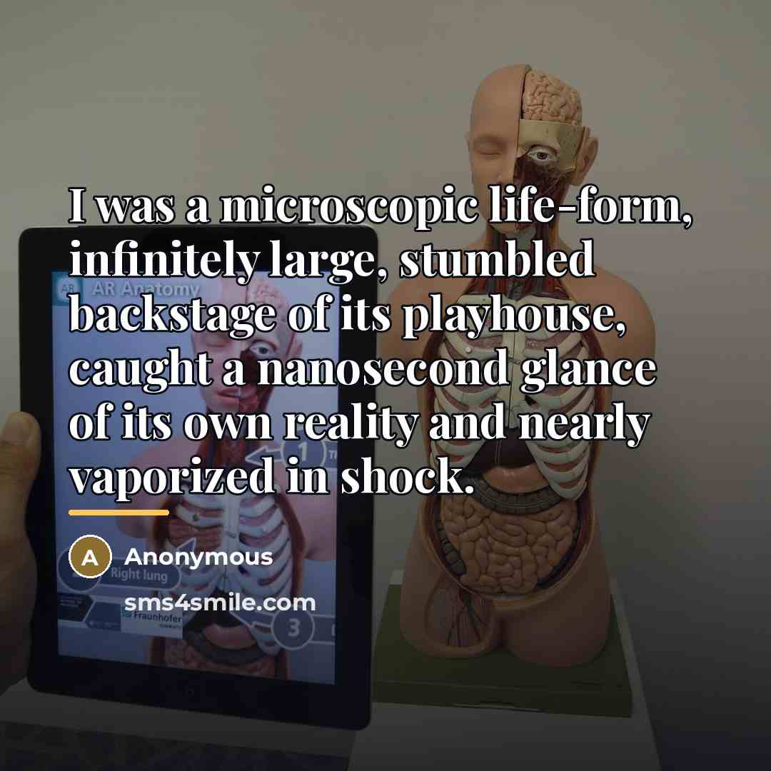 “I was a microscopic life-form, infinitely large, stumbled backstage of…” quote by Anonymous