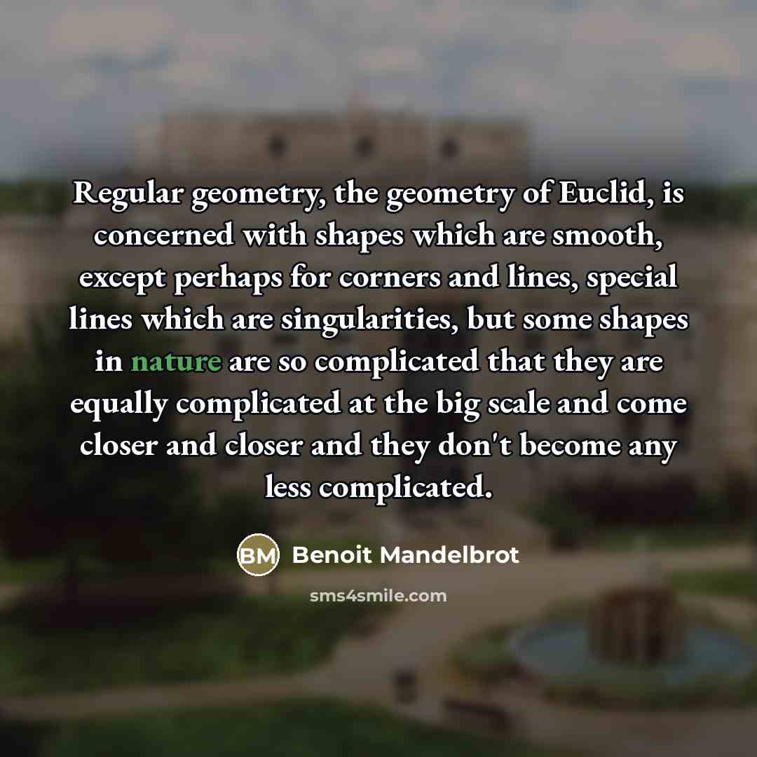 “Regular geometry, the geometry of Euclid, is concerned with shapes…” quote by Benoit Mandelbrot
