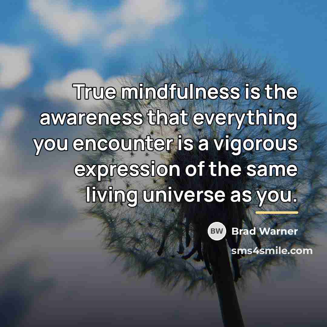 “True mindfulness is the awareness that everything you encounter is…” quote by Brad Warner