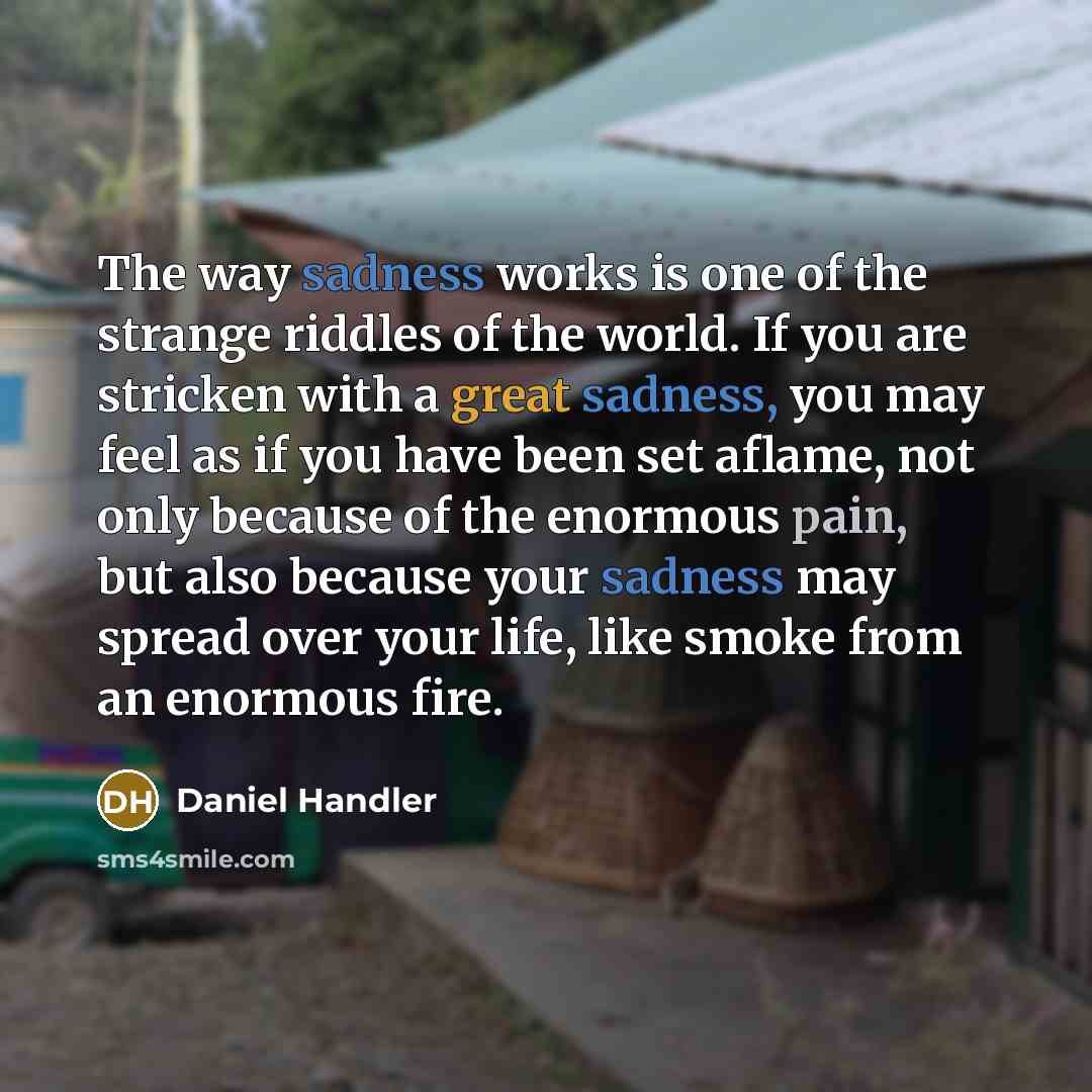 “The way sadness works is one of the strange riddles…” quote by Daniel Handler