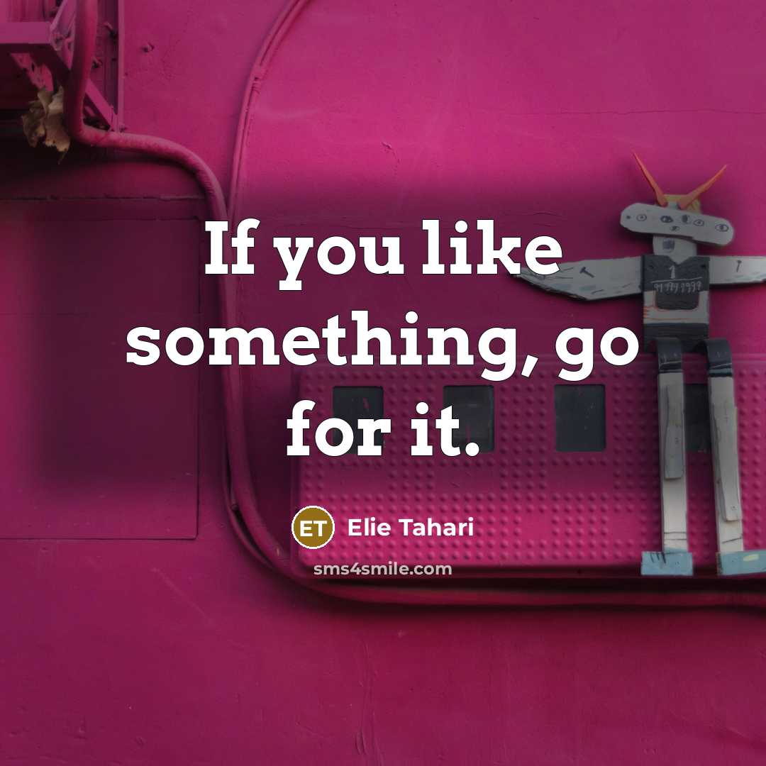 “If you like something, go for it.…” quote by Elie Tahari