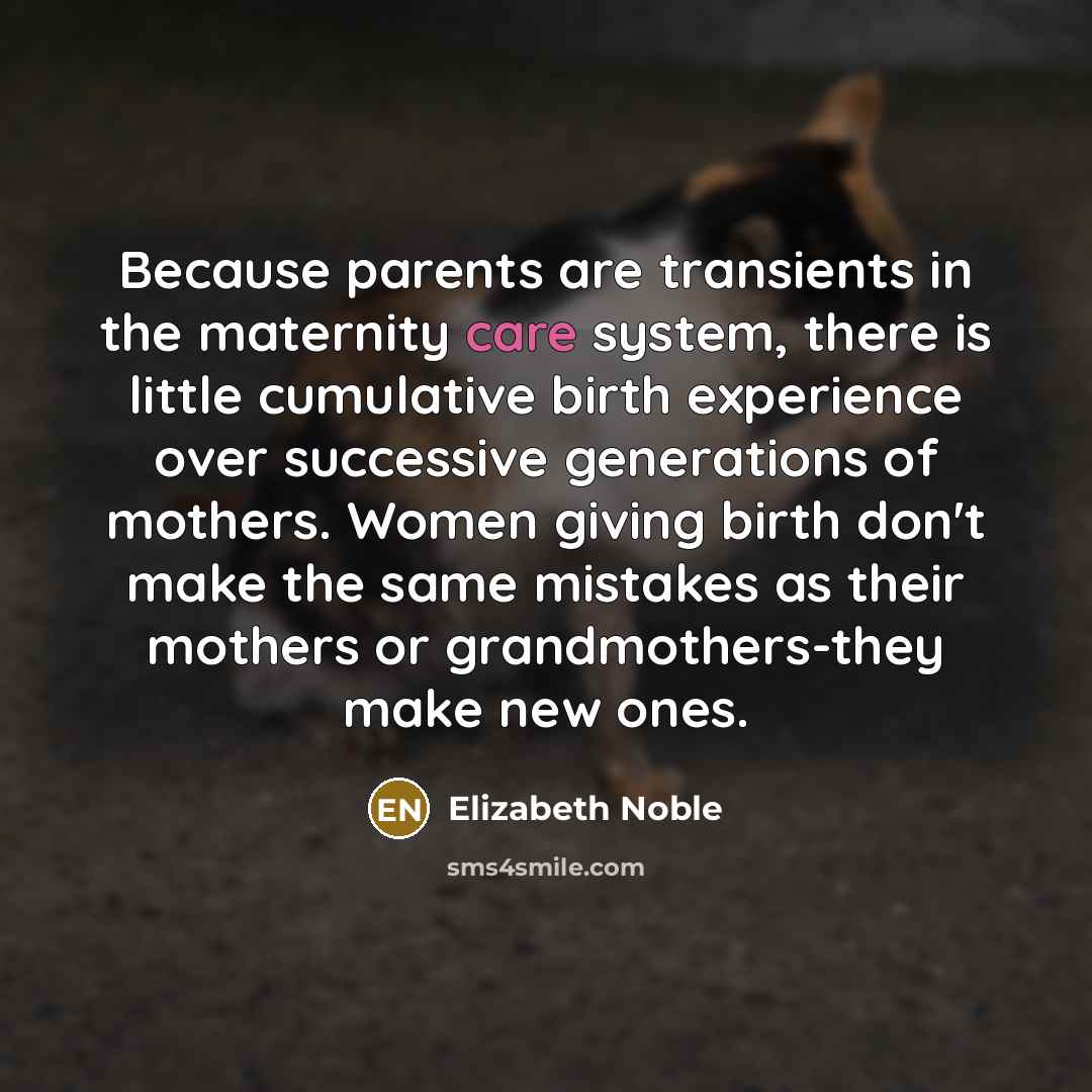 “Because parents are transients in the maternity care system, there…” quote by Elizabeth Noble