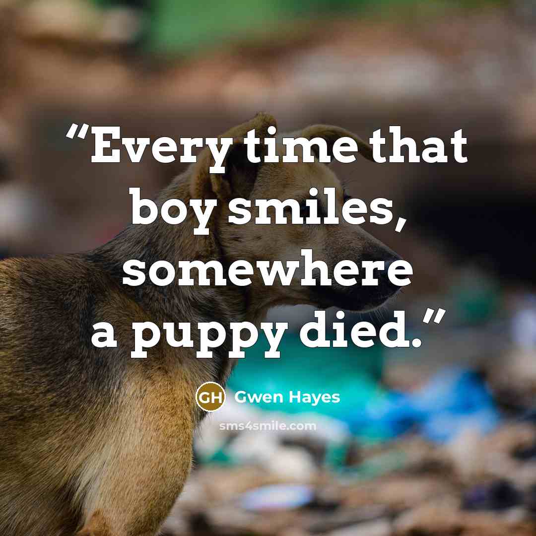 “Every time that boy smiles, somewhere a puppy died.” quote by Gwen Hayes
