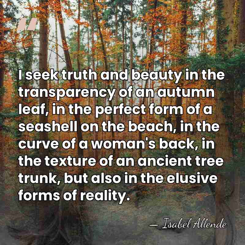 I seek truth and beauty in the transparency of an autumn leaf,&hellip; - Isabel Allende