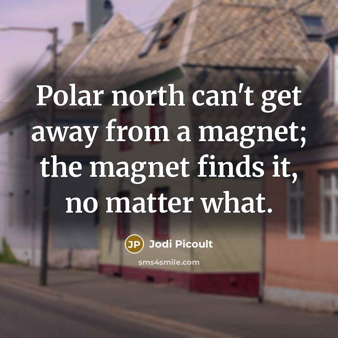 “Polar north can't get away from a magnet; the magnet finds it, no matter what.” quote by Jodi Picoult