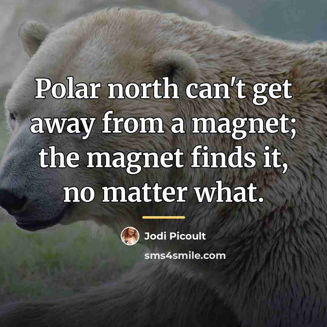 “Polar north can't get away from a magnet; the magnet…” quote by Jodi Picoult