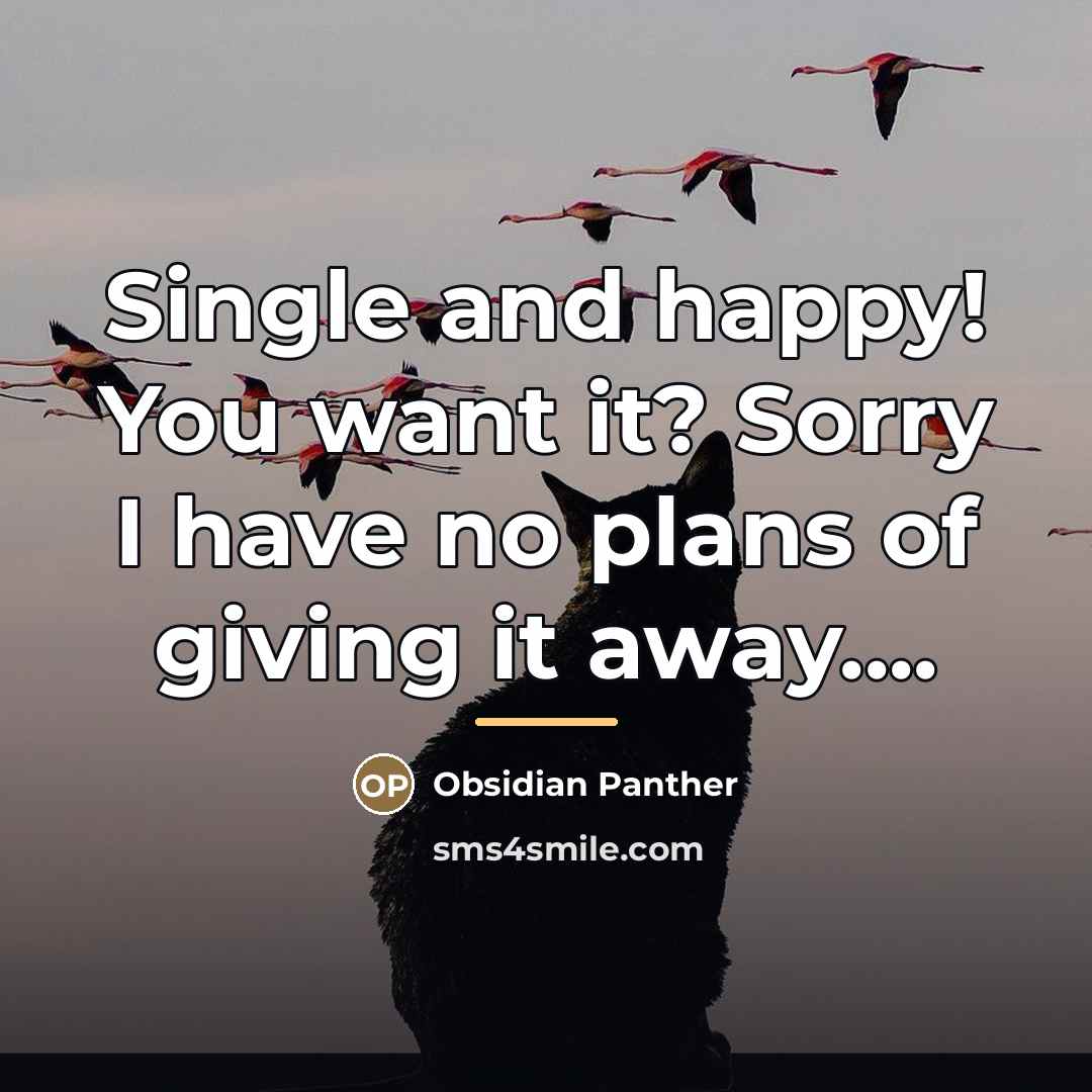 “Single and happy! You want it? Sorry I have no…” quote by Obsidian Panther
