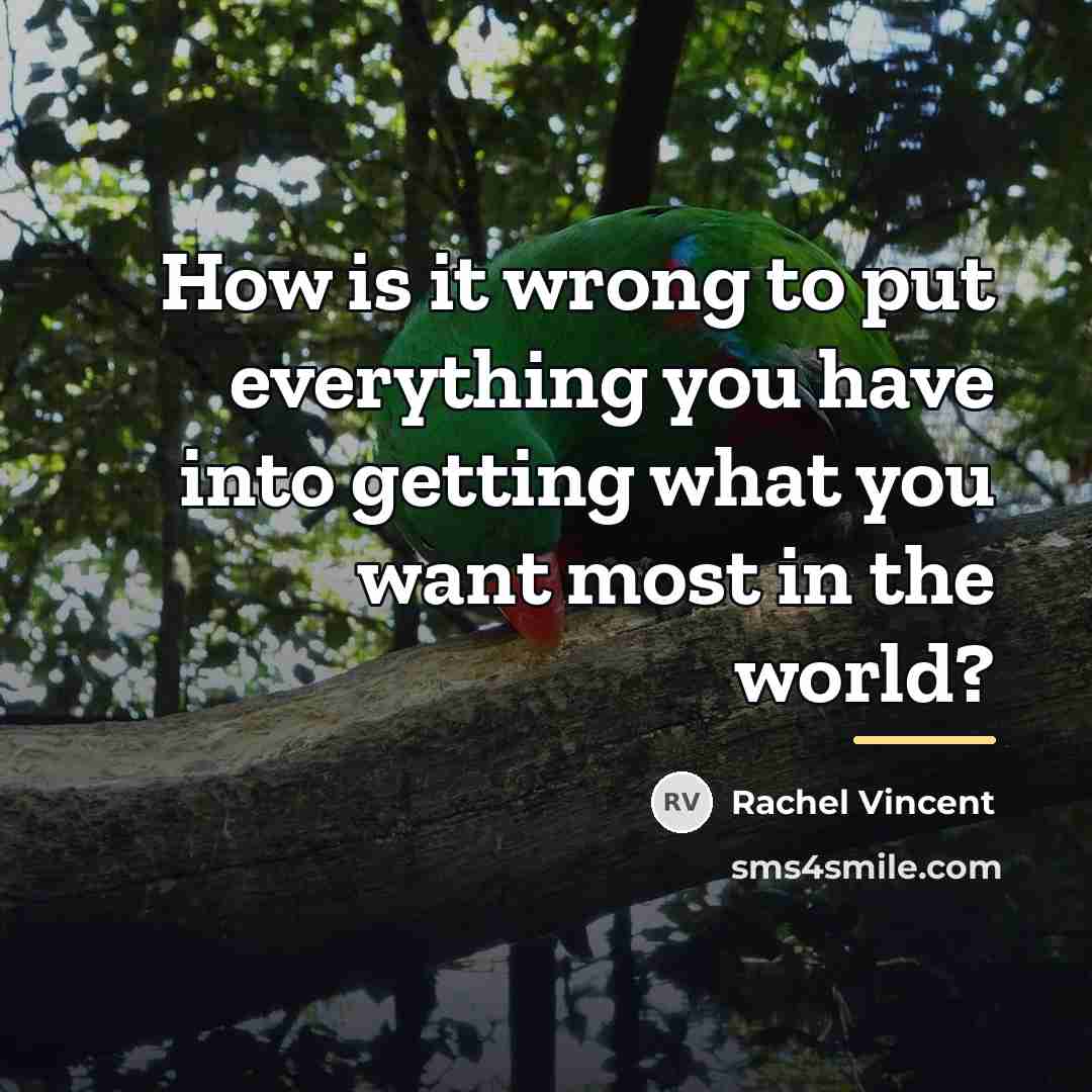 “How is it wrong to put everything you have into…” quote by Rachel Vincent