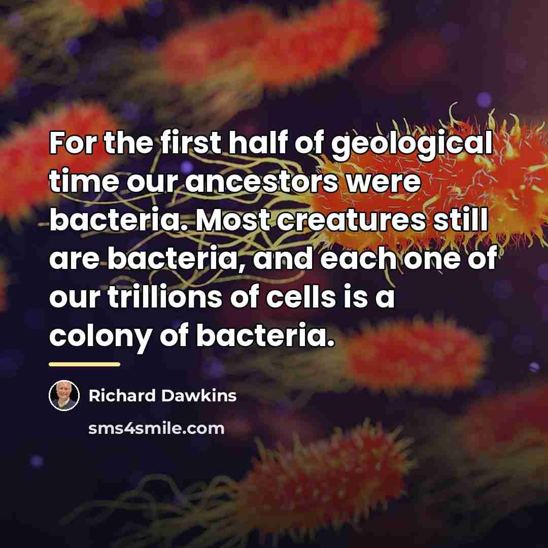 “For the first half of geological time our ancestors were…” quote by Richard Dawkins