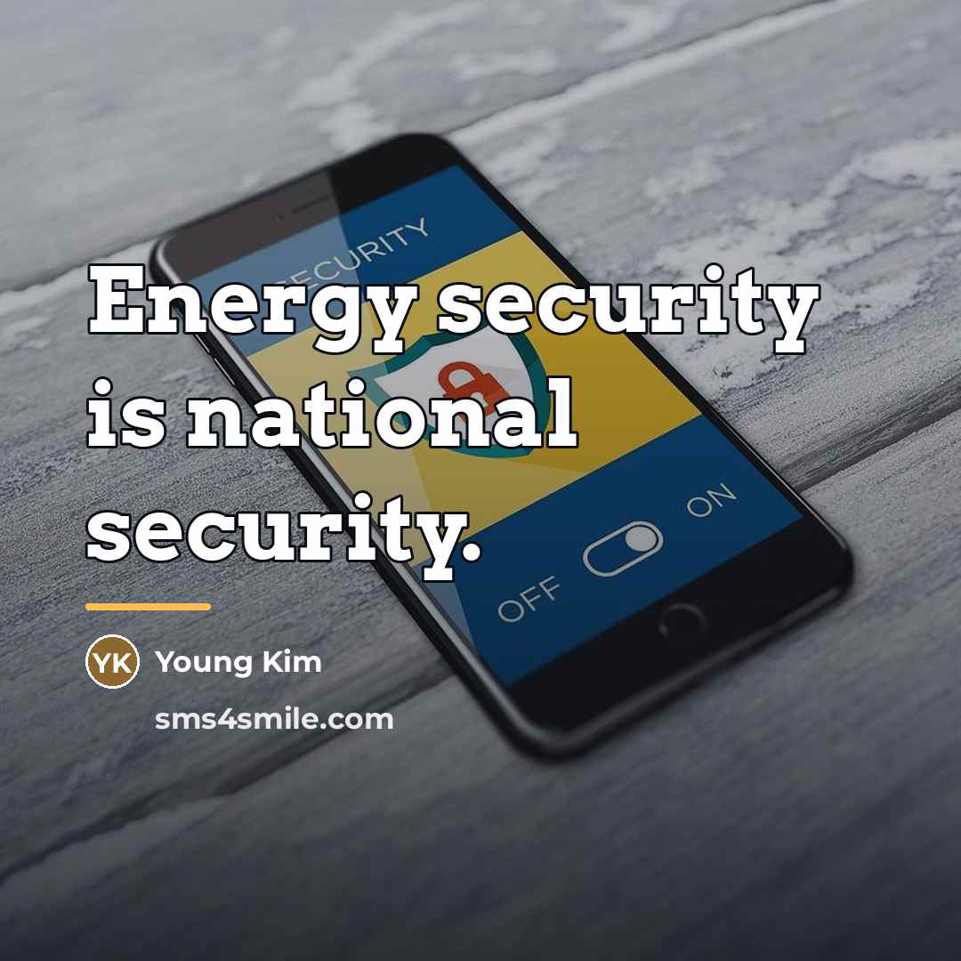 “Energy security is national security.…” quote by Young Kim