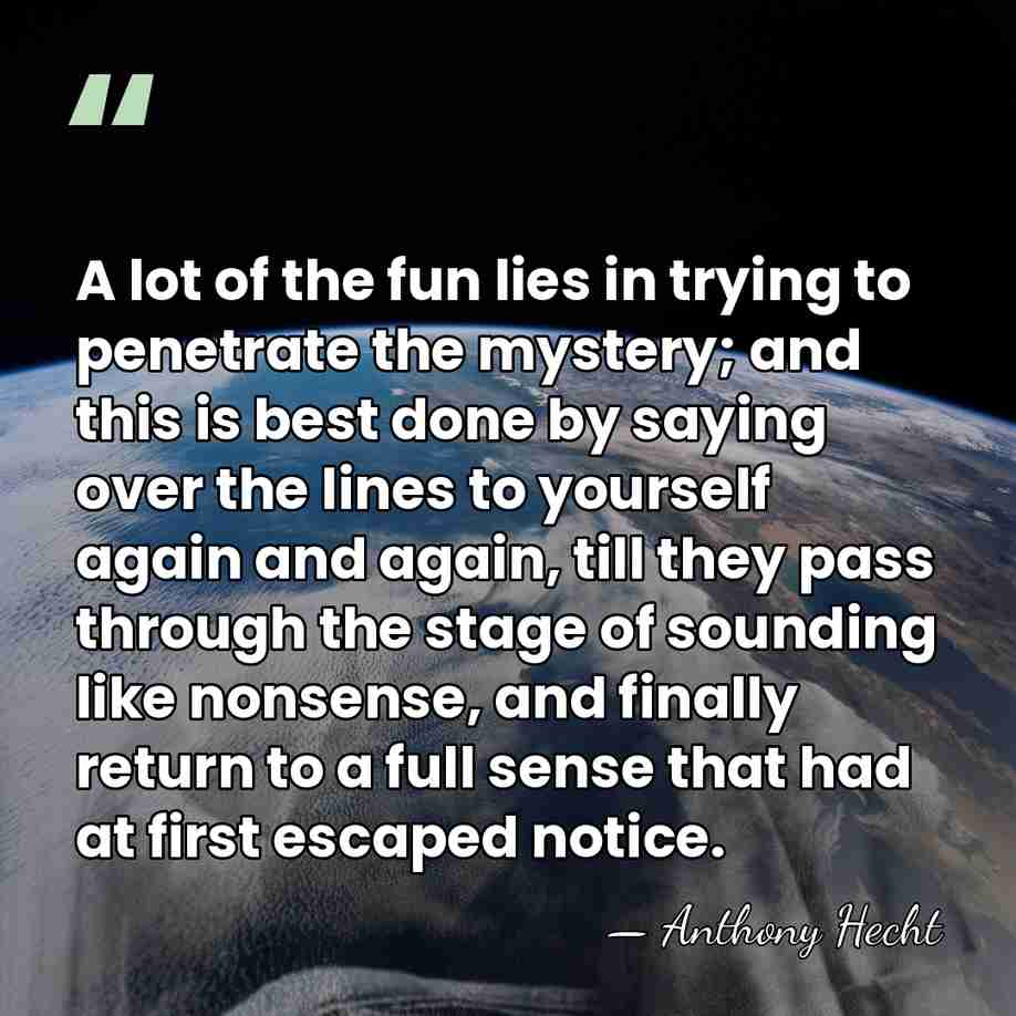 A lot of the fun lies in trying to penetrate the mystery;&hellip; - Anthony Hecht