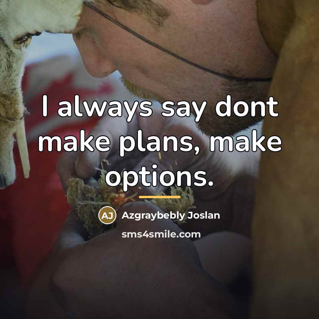 “I always say dont make plans, make options.…” quote by Azgraybebly Joslan