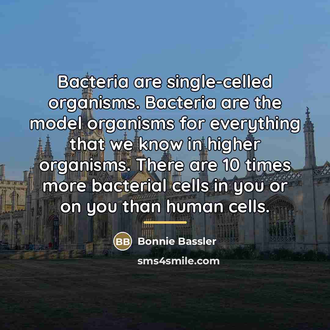 “Bacteria are single-celled organisms. Bacteria are the model organisms for…” quote by Bonnie Bassler