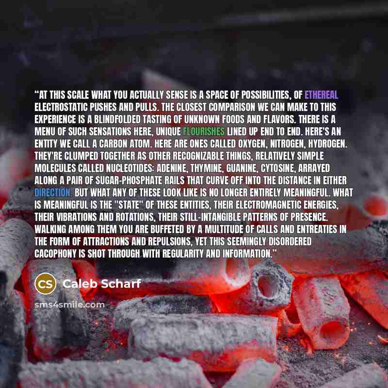 “At this scale what you actually sense is a space of possibilities, of ethereal electrostatic pushes and pulls. The closest comparison we can make to this experience is a blindfolded tasting of unknown foods and flavors. There is a menu of such sensations here, unique flourishes lined up end to…” quote by Caleb Scharf