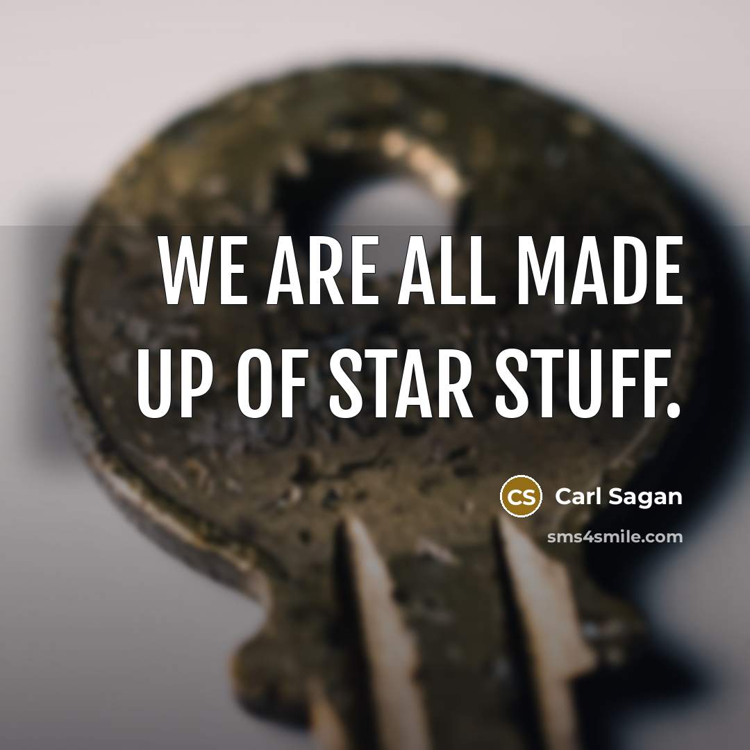“We are all made up of star stuff.…” quote by Carl Sagan