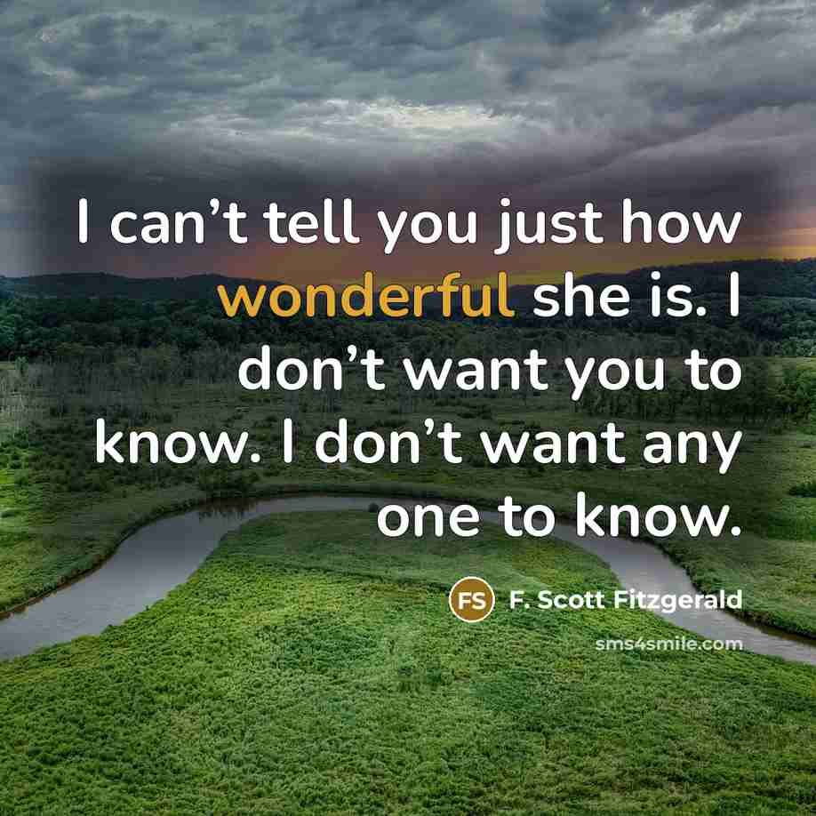 “I can’t tell you just how wonderful she is. I…” quote by F. Scott Fitzgerald
