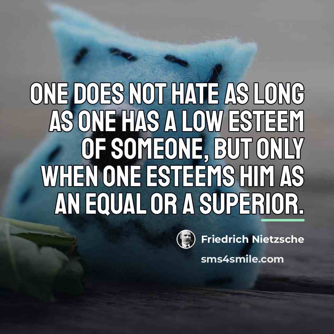 “One does not hate as long as one has a…” quote by Friedrich Nietzsche