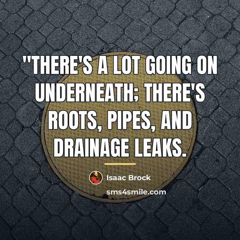 “"there's a lot going on underneath; there's roots, pipes, and…” quote by Isaac Brock