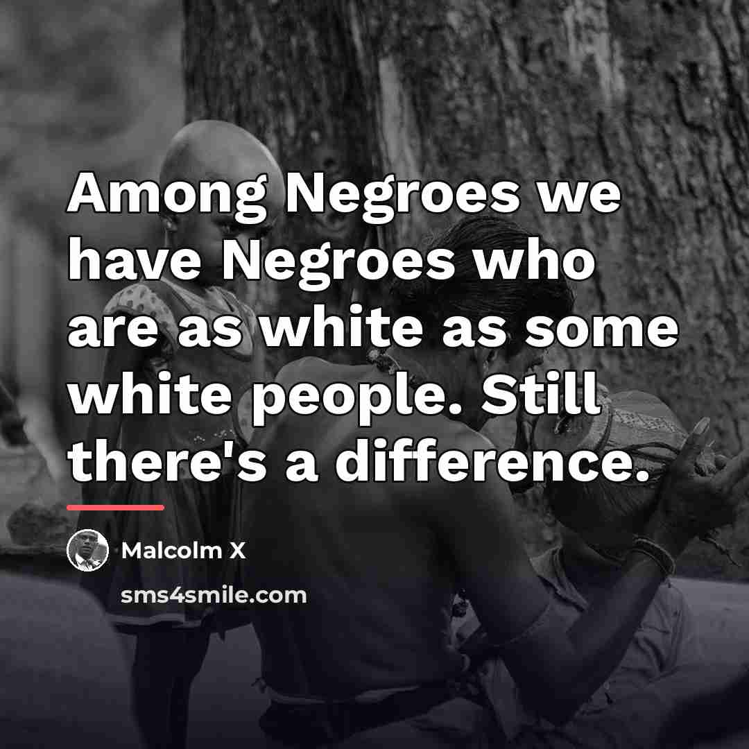 “Among Negroes we have Negroes who are as white as…” quote by Malcolm X