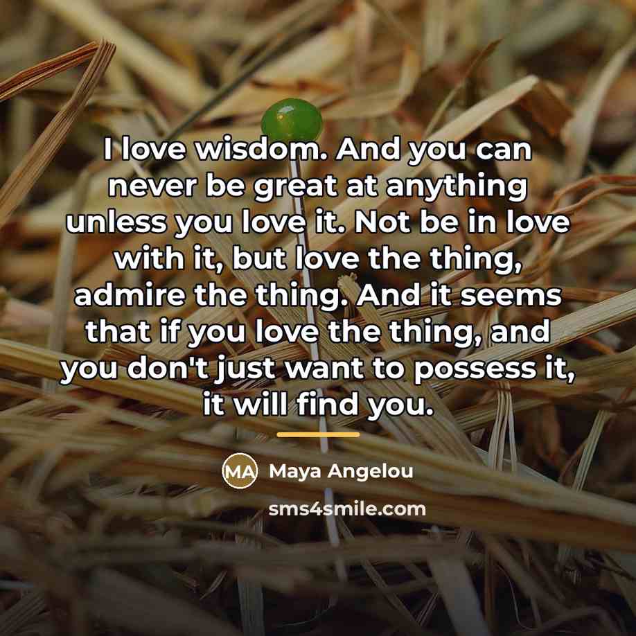 “I love wisdom. And you can never be great at…” quote by Maya Angelou
