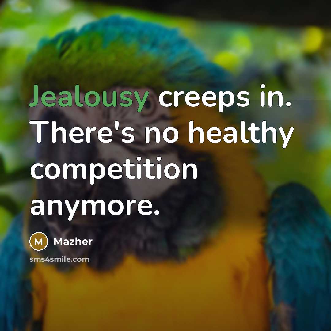 “Jealousy creeps in. There's no healthy competition anymore.…” quote by Mazher