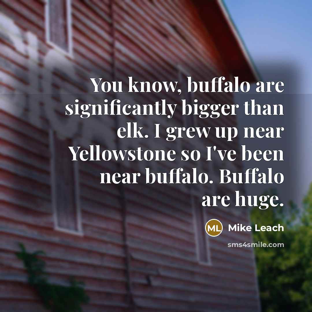 “You know, buffalo are significantly bigger than elk. I grew…” quote by Mike Leach