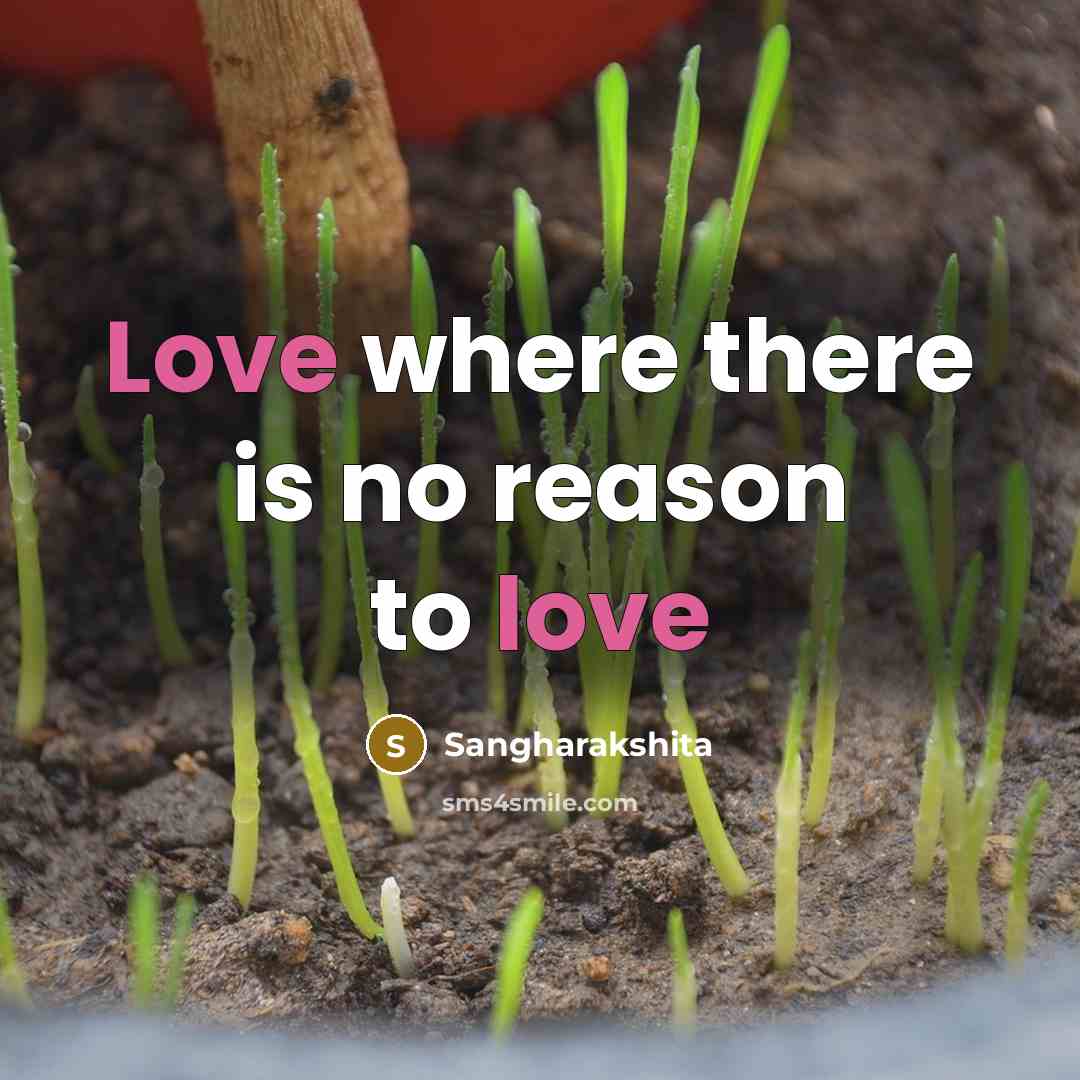 “Love where there is no reason to love…” quote by Sangharakshita