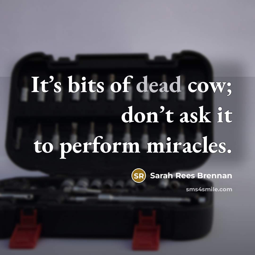 “It’s bits of dead cow; don’t ask it to perform…” quote by Sarah Rees Brennan
