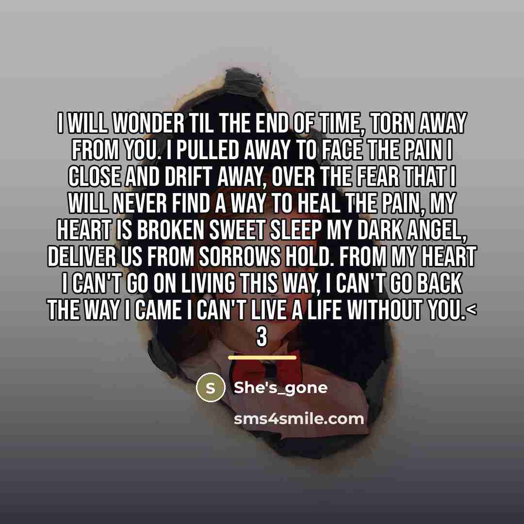 “I will wonder til the end of time, torn away…” quote by She's_gone
