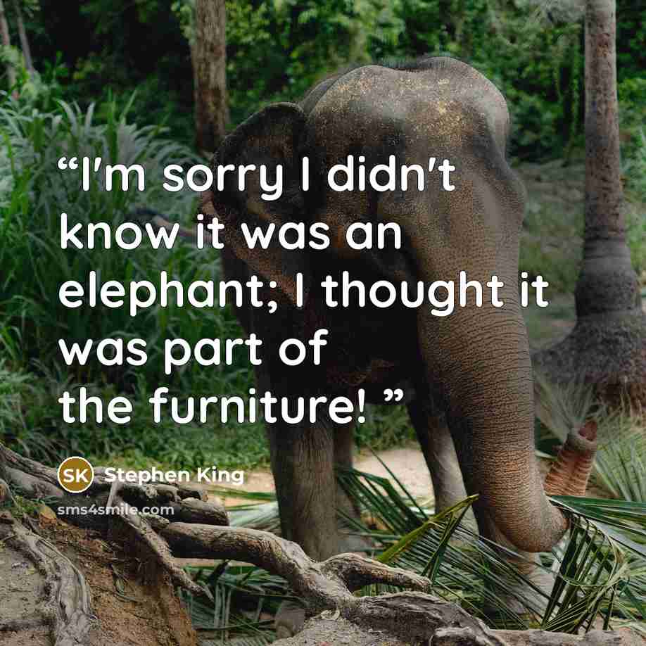 “I'm sorry I didn't know it was an elephant; I thought it was part of the furniture!” quote by Stephen King