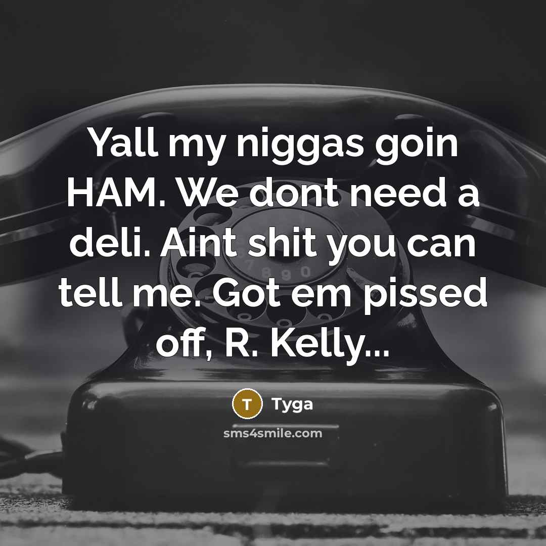 “Yall my niggas goin HAM. We dont need a deli. Aint shit you can tell me. Got em pissed off, R. Kelly...” quote by Tyga