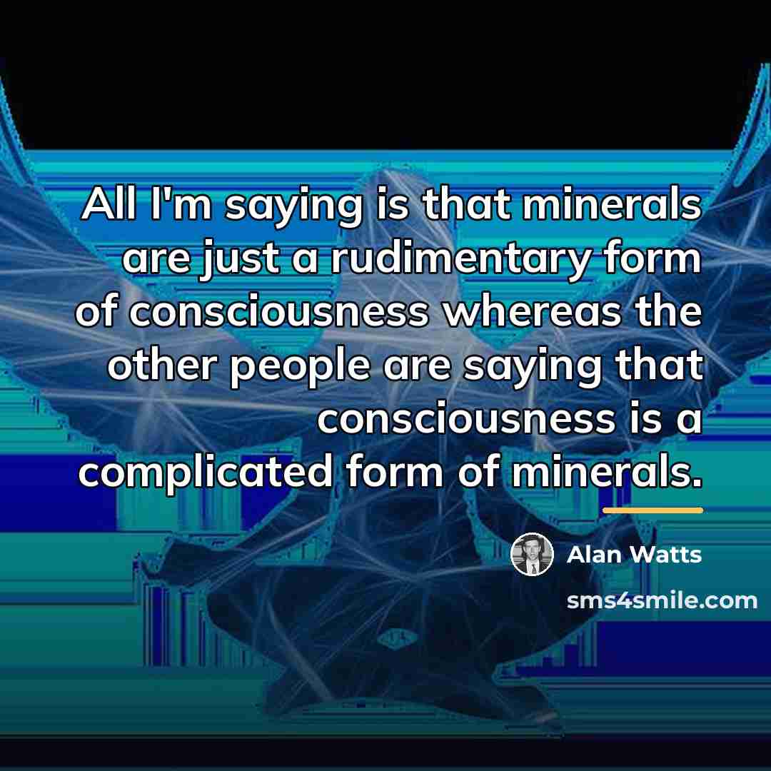“All I'm saying is that minerals are just a rudimentary…” quote by Alan Watts