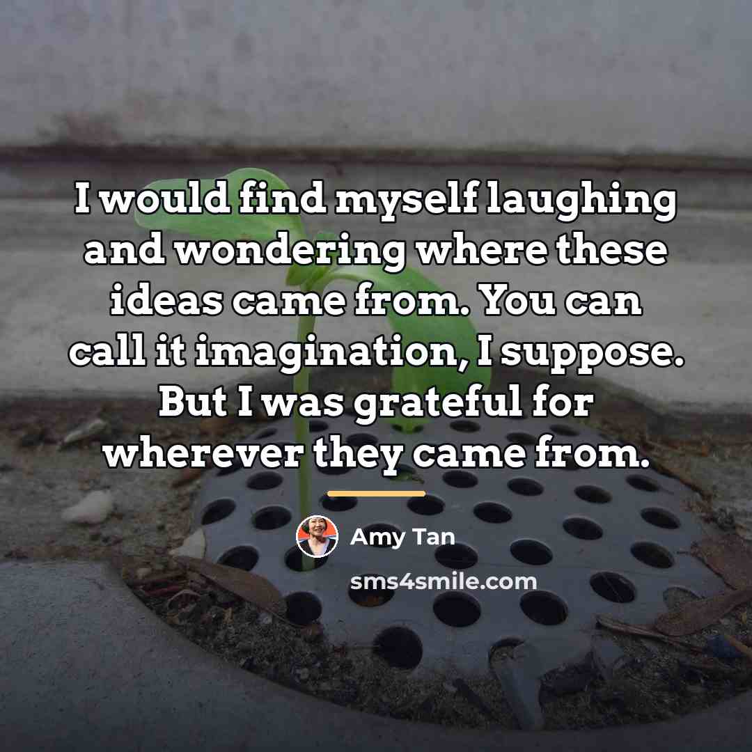 “I would find myself laughing and wondering where these ideas…” quote by Amy Tan