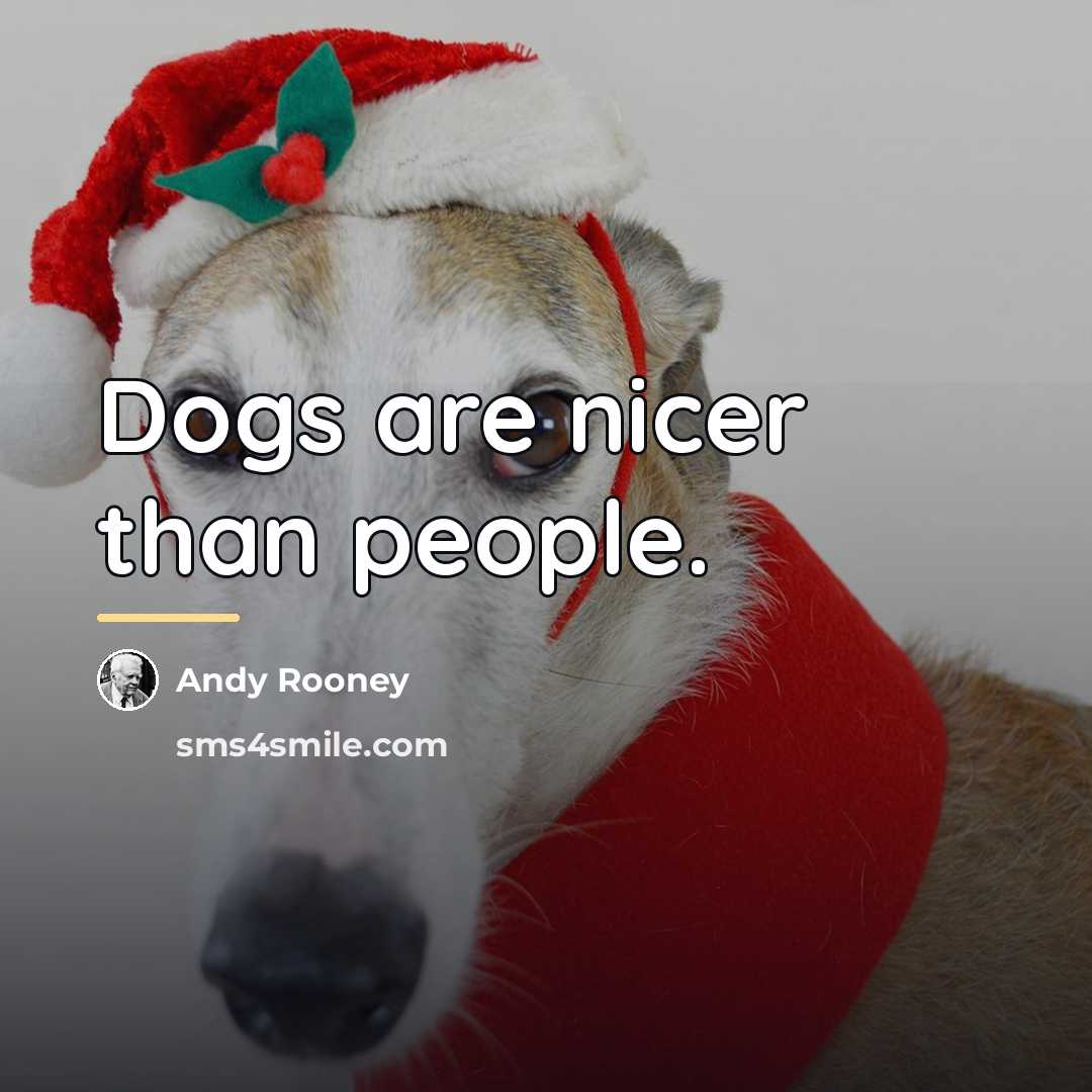 “Dogs are nicer than people.…” quote by Andy Rooney
