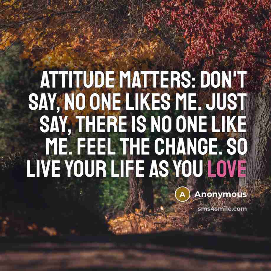 “Attitude Matters: Don't Say, No One Likes Me. Just Say, There Is No One Like Me. Feel The Change. So Live Your Life As You Love” quote by Anonymous