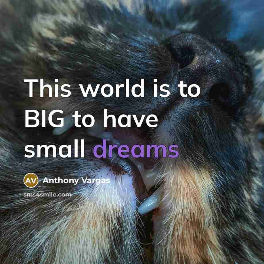 “This world is to BIG to have small dreams…” quote by Anthony Vargas