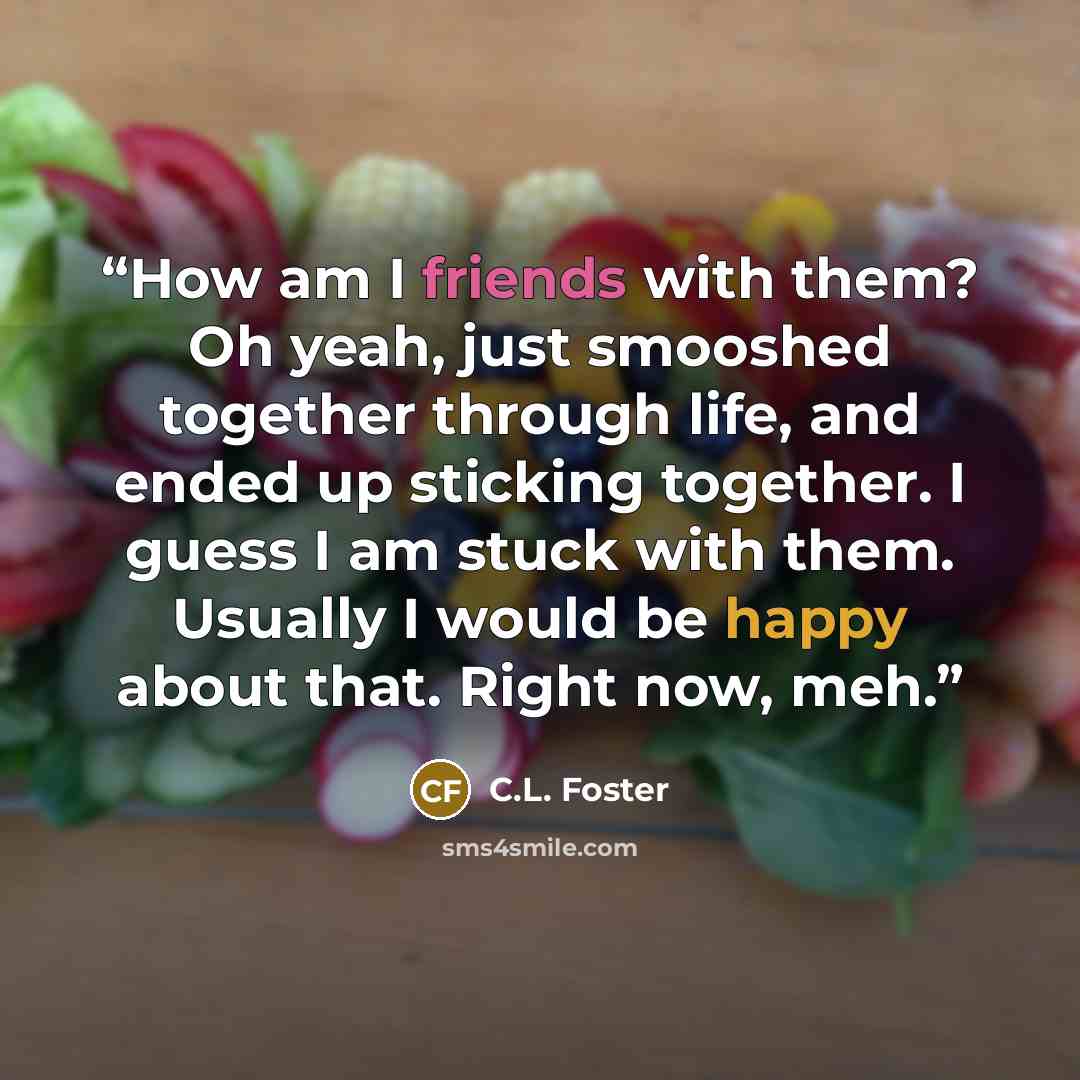 “How am I friends with them? Oh yeah, just smooshed together through life, and ended up sticking together. I guess I am stuck with them. Usually I would be happy about that. Right now, meh.” quote by C.L. Foster