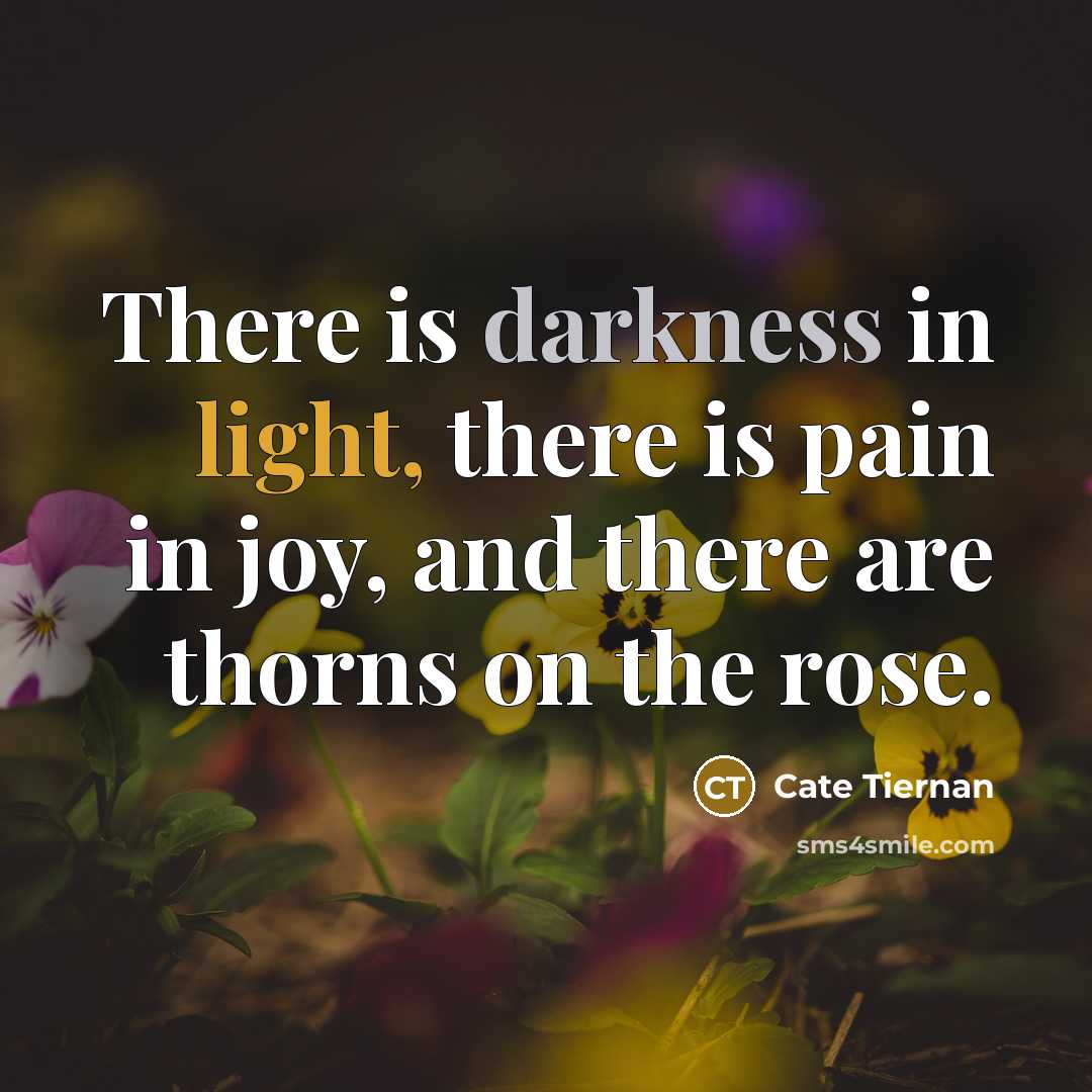 “There is darkness in light, there is pain in joy,…” quote by Cate Tiernan