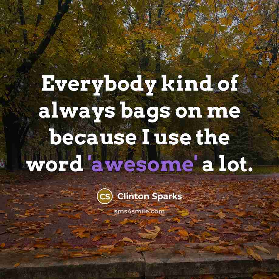 “Everybody kind of always bags on me because I use…” quote by Clinton Sparks