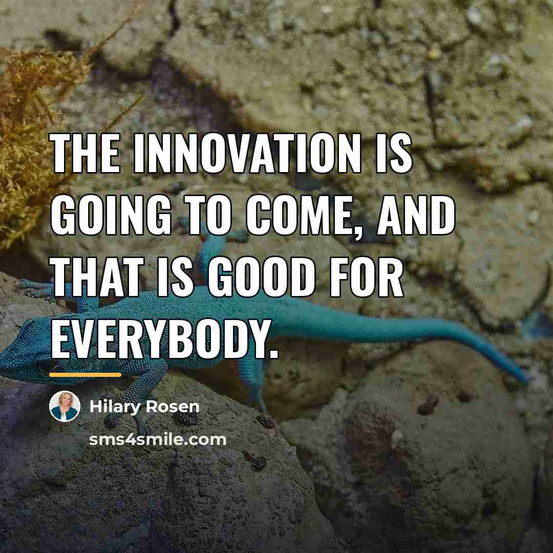 “The innovation is going to come, and that is good…” quote by Hilary Rosen