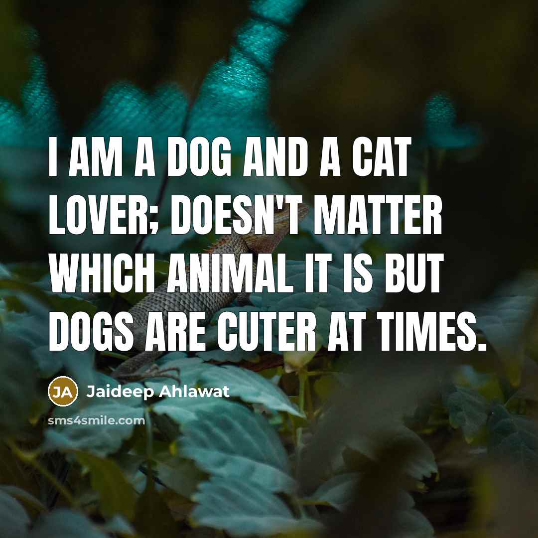 “I am a dog and a cat lover; doesn't matter…” quote by Jaideep Ahlawat