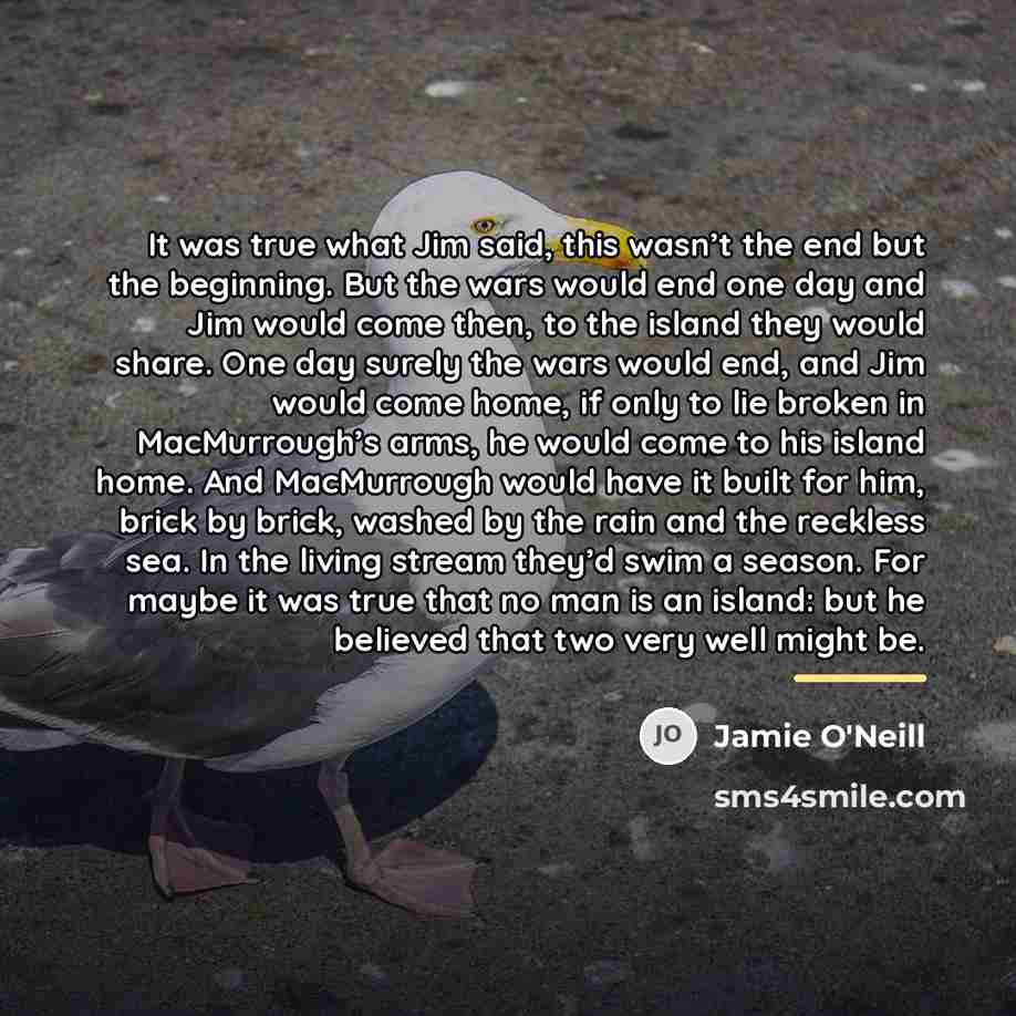 “It was true what Jim said, this wasn’t the end…” quote by Jamie O'Neill