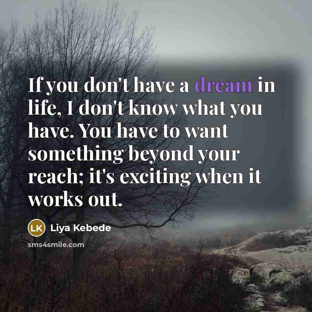 “If you don't have a dream in life, I don't…” quote by Liya Kebede