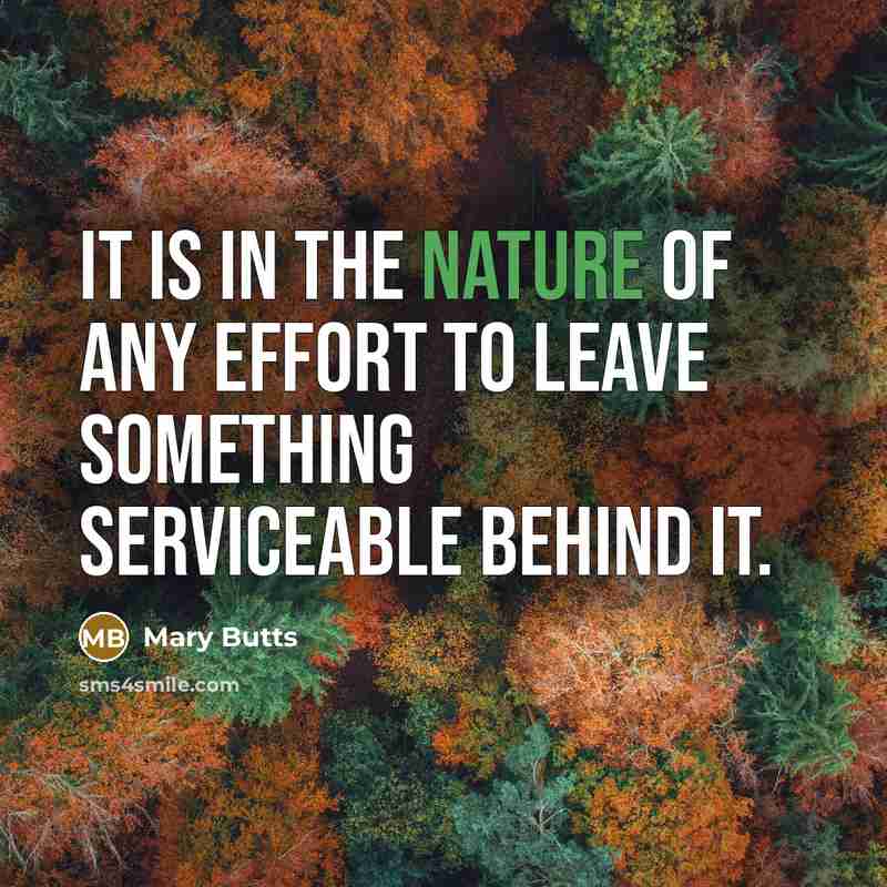 “It is in the nature of any effort to leave…” quote by Mary Butts