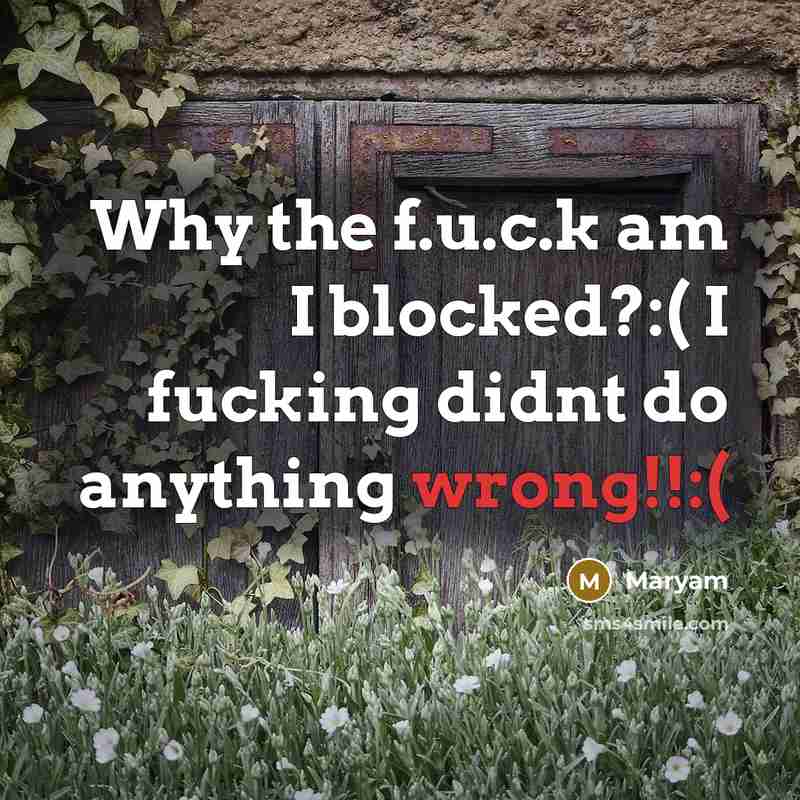 “Why the f.u.c.k am I blocked?:( I fucking didnt do…” quote by Maryam