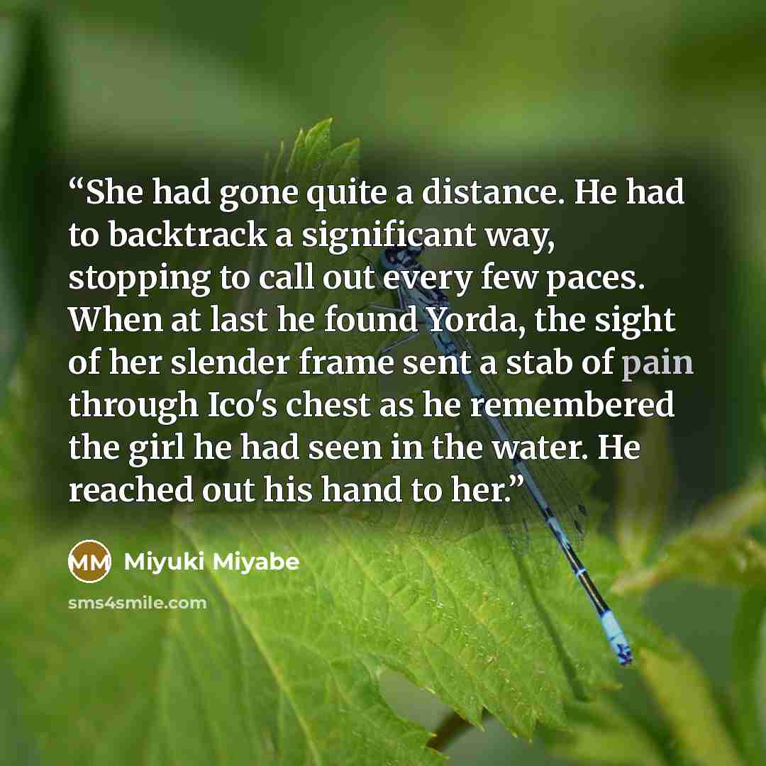 “She had gone quite a distance. He had to backtrack a significant way, stopping to call out every few paces. When at last he found Yorda, the sight of her slender frame sent a stab of pain through Ico's chest as he remembered the girl he had seen in the water. He reached out his hand to her.” quote by Miyuki Miyabe