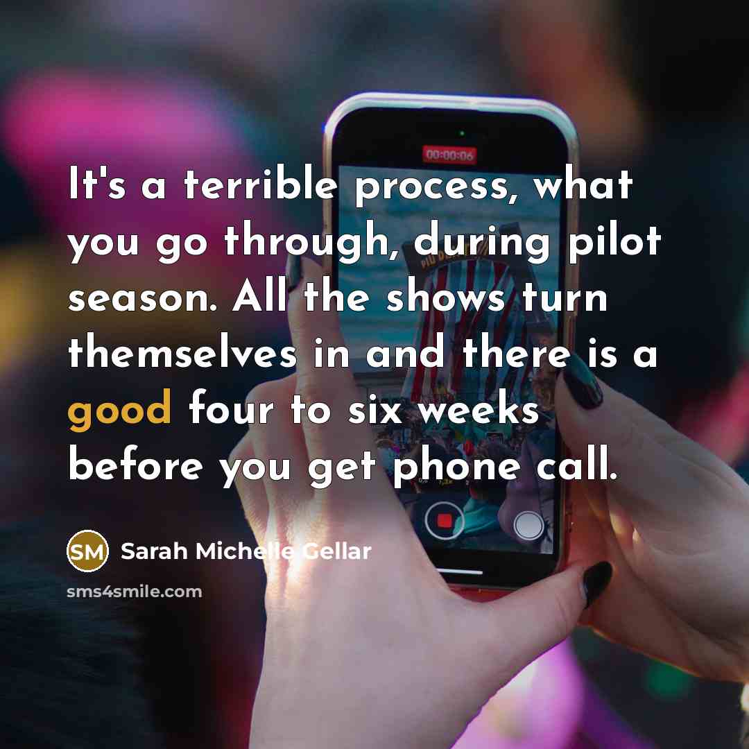 “It's a terrible process, what you go through, during pilot…” quote by Sarah Michelle Gellar