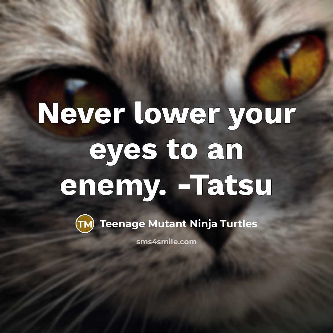 “Never lower your eyes to an enemy. -Tatsu” quote by Teenage Mutant Ninja Turtles