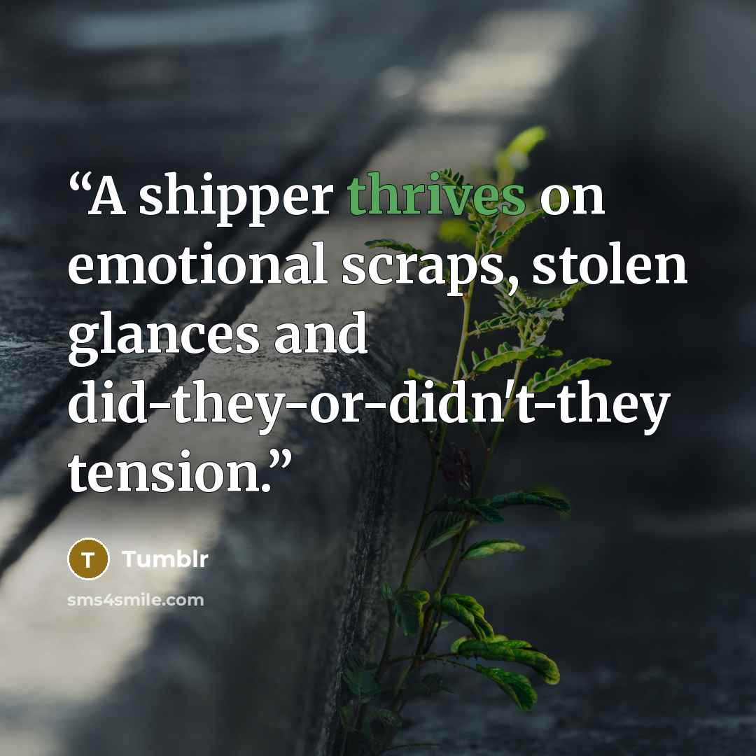 “A shipper thrives on emotional scraps, stolen glances and did-they-or-didn't-they tension.” quote by tumblr