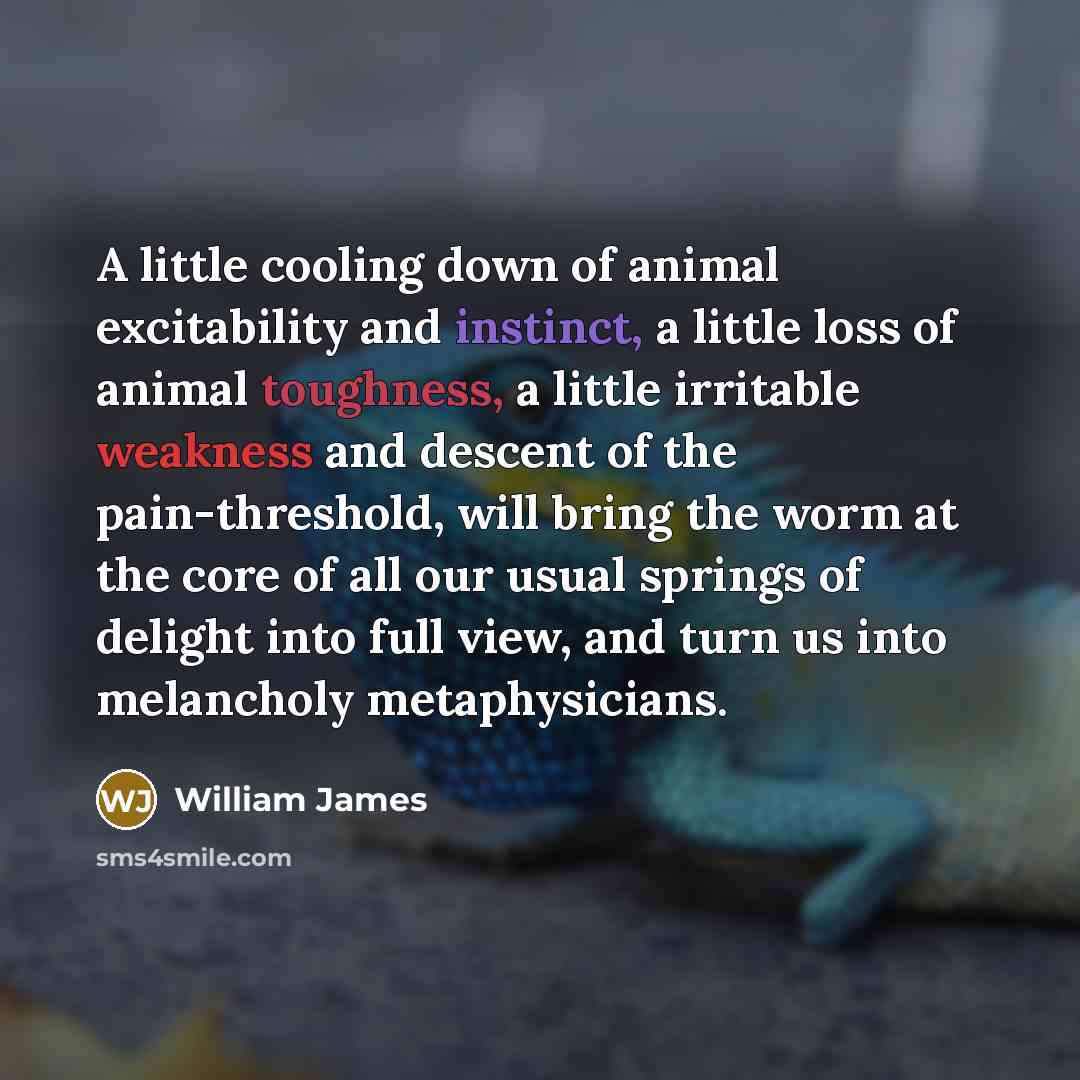 “A little cooling down of animal excitability and instinct, a…” quote by William James